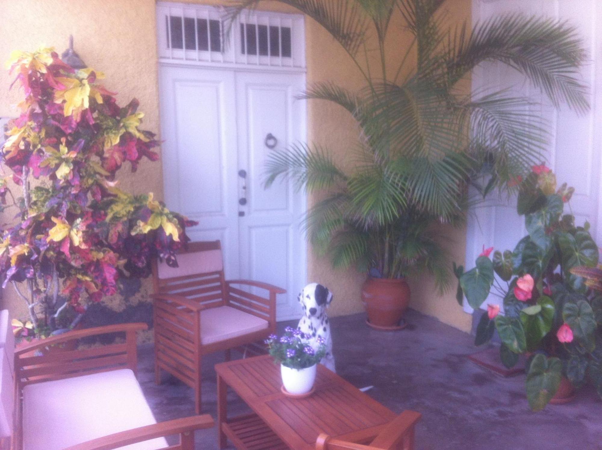 Atlantic Views Apartment Punta Del Hidalgo Exterior foto
